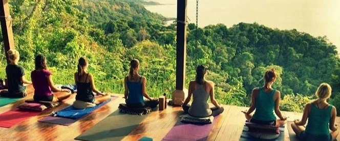 Yoga & Wellness