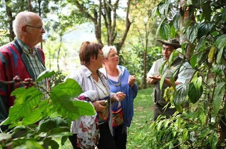 Spice Plantation Visit