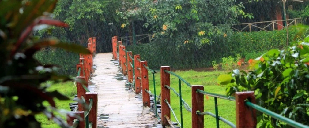 Spice Plantation Visit