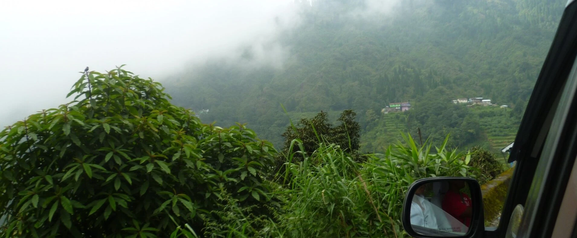 Trekking & Hiking