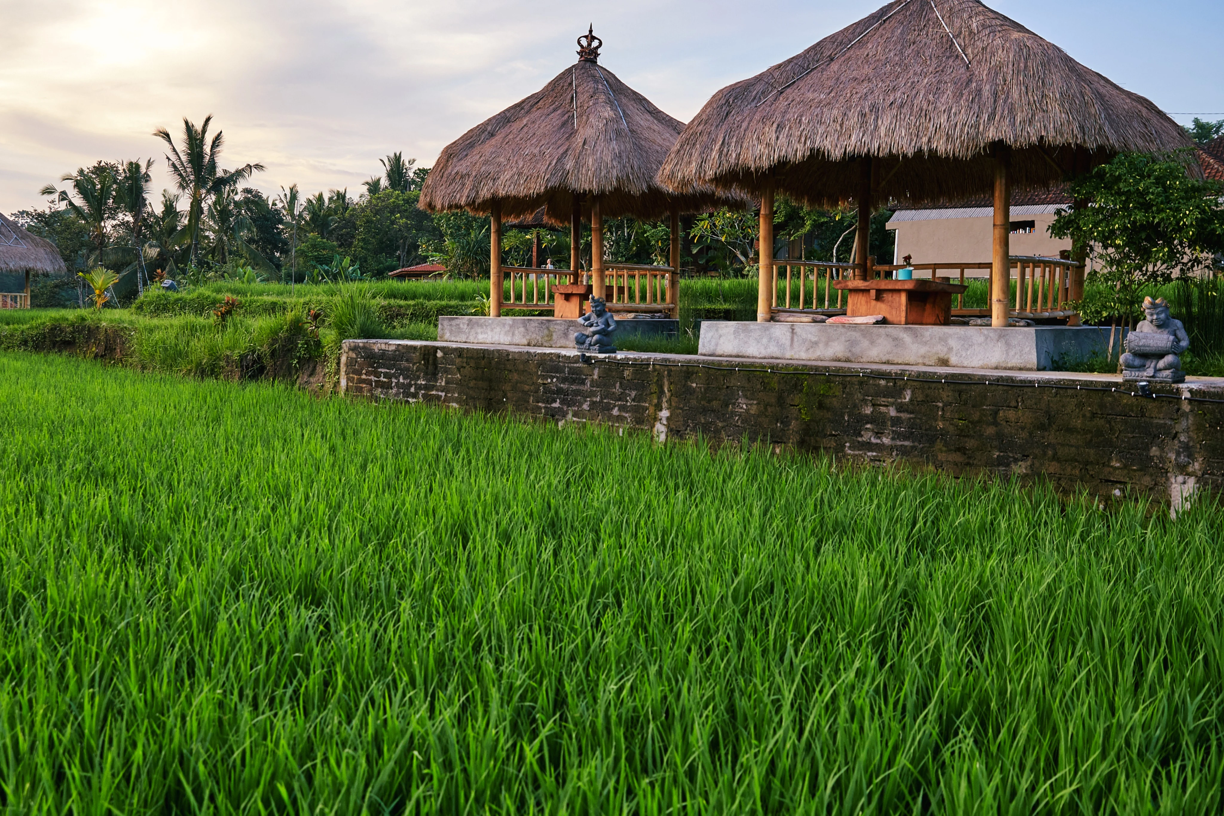 Agriculture and Farming Tour