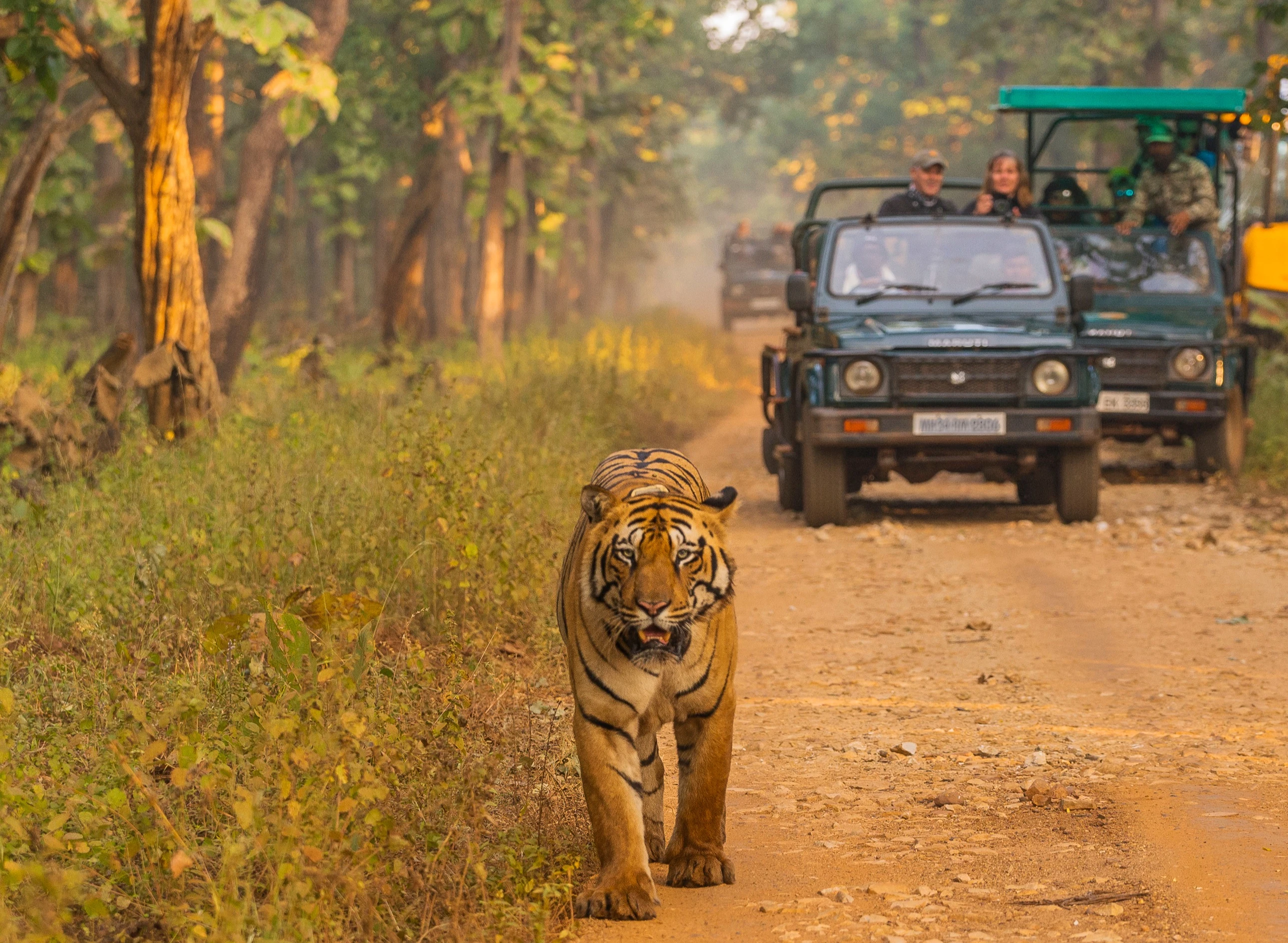 Luxury Golden Triangle Tour Operator India